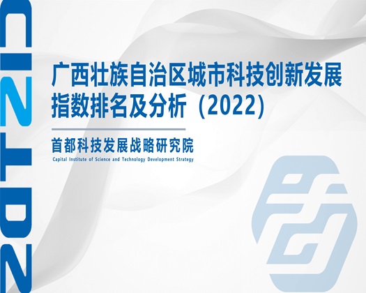 啊……嗯操我视频【成果发布】广西壮族自治区城市科技创新发展指数排名及分析（2022）